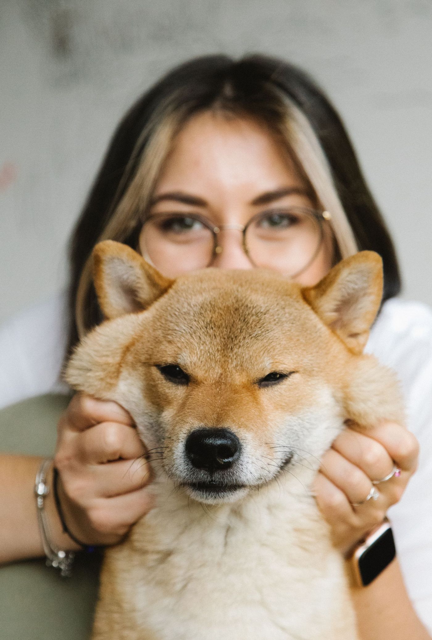 En person håller med båda händerna om huvudet på en röd shiba inu som blundar